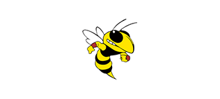 EHS hornet