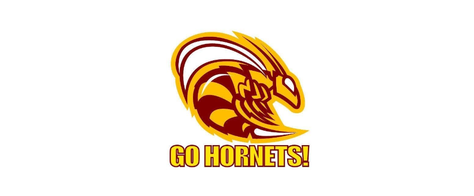 Go Hornets